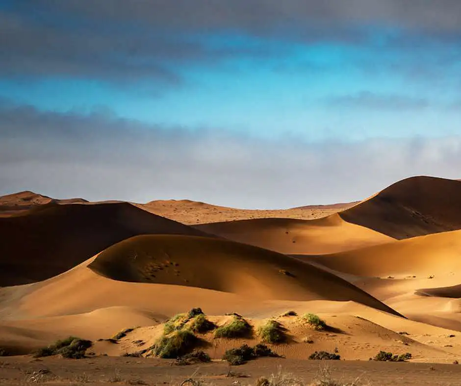 wahiba-sands-deserto-oman-tour.webp